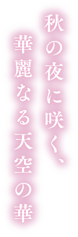 秋の夜に咲く、華麗なる天空の華