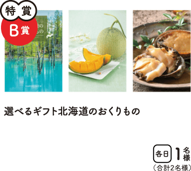 特賞B賞　選べるギフト北海道のおくりもの　合計2名様
