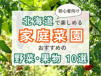 収穫した野菜を両手に持つ人