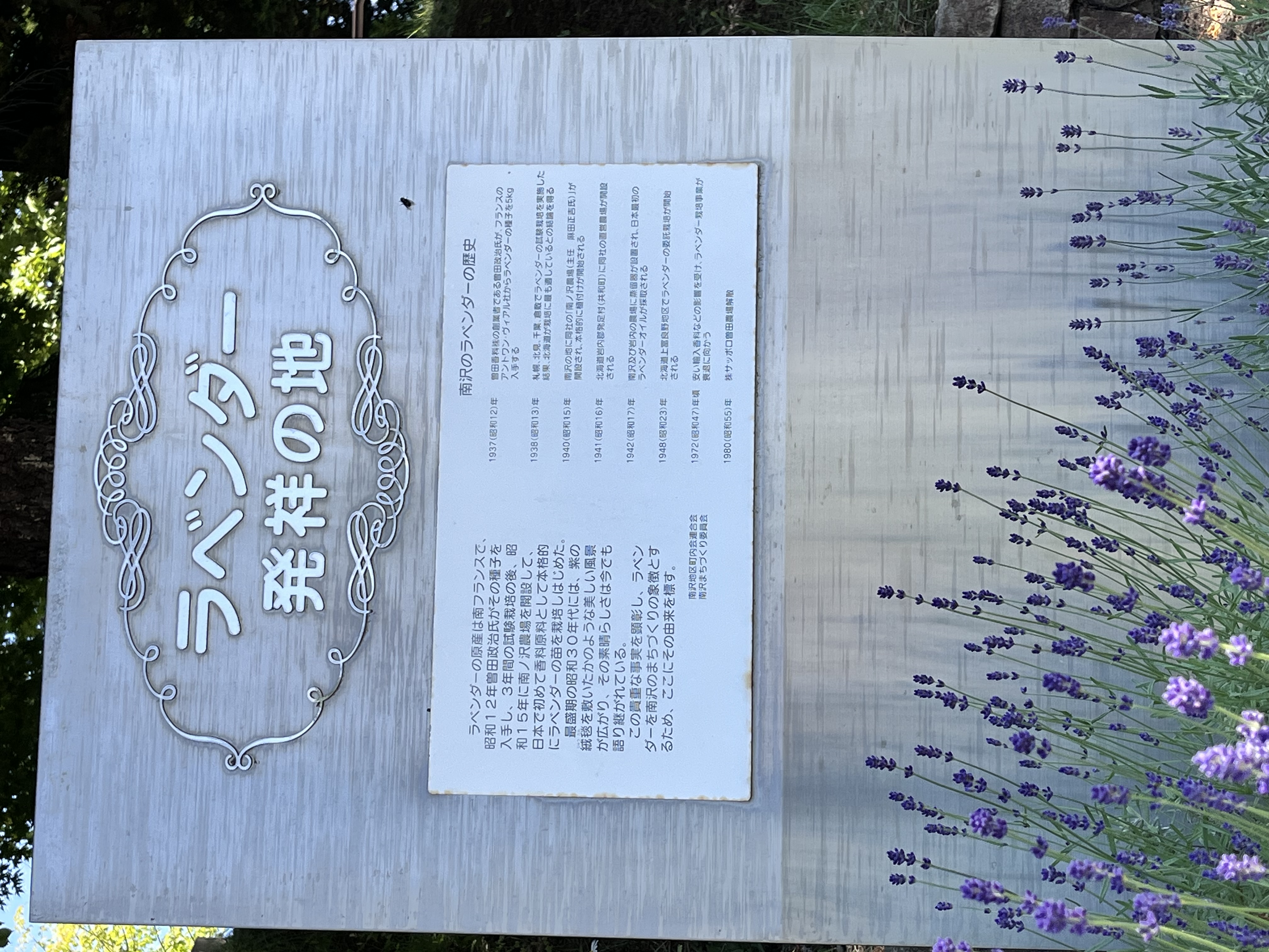 実は札幌がラベンダー栽培日本発祥の地！札幌で見られるオススメの
