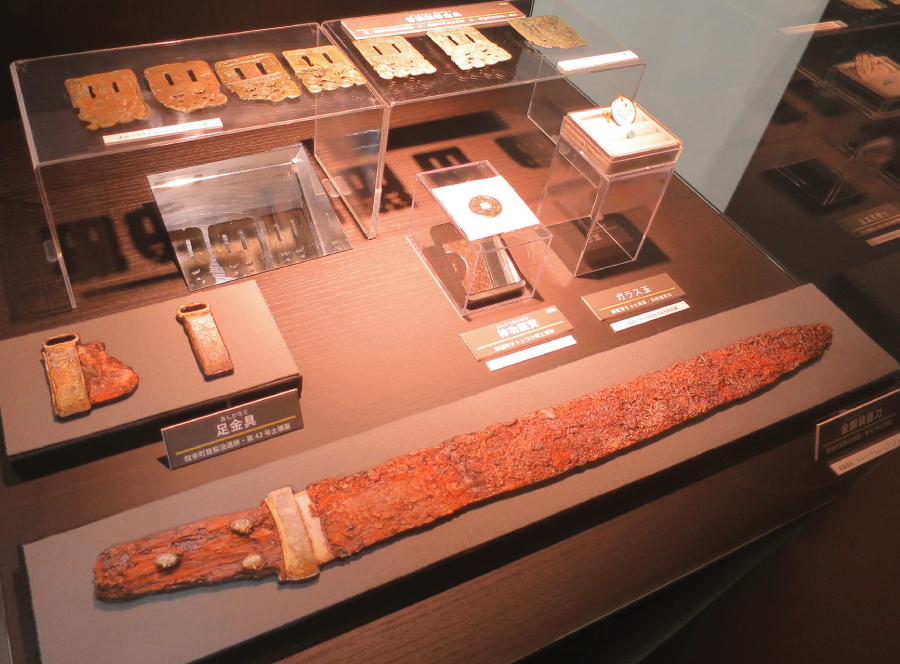 ツノ貝 北海道産 910～760万年前の化石 （サンデー毎日 2017年07