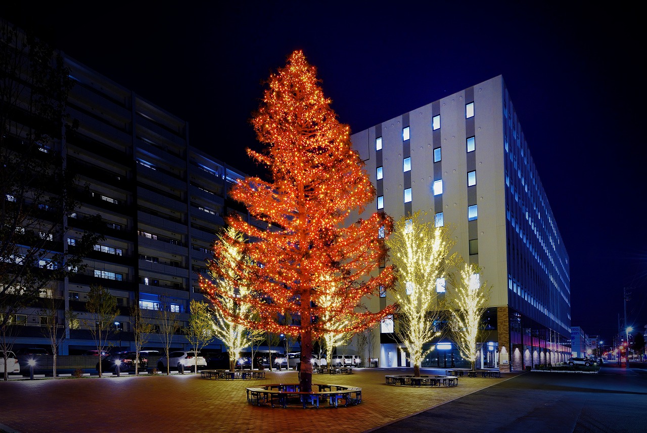 SNSキャンペーンも】創成イーストクリスマスイルミネーション2024