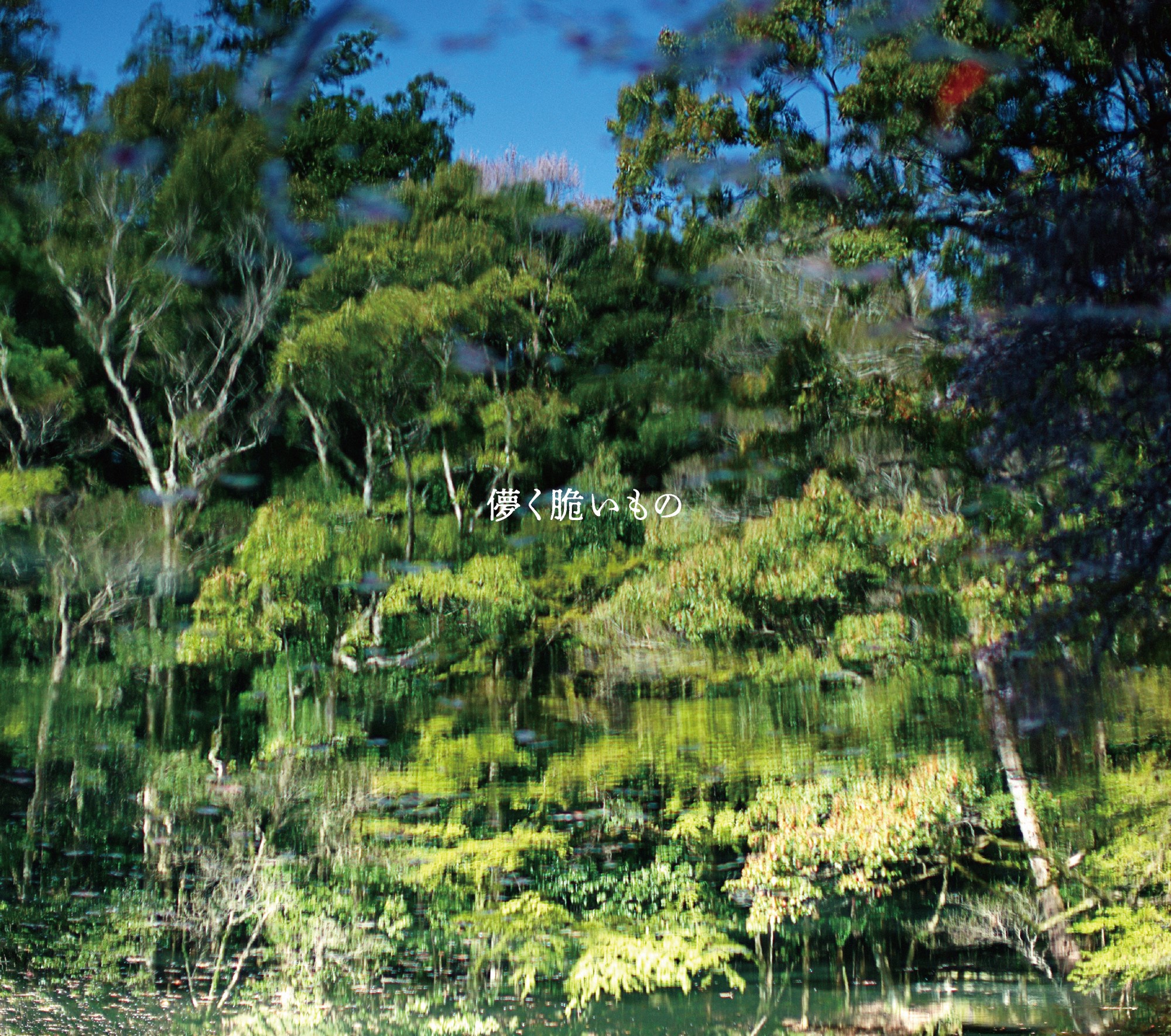 New Album「儚く脆いもの」をリリースした藤巻亮太氏にインタビューを