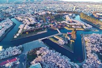 五稜郭公園の堀沿いで桜越しに見える観光ボート