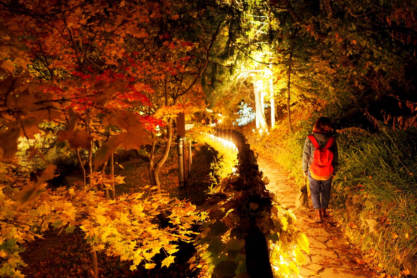 JOZANKEI NATURE LUMINARIE 2023 / 北海道イベント情報 | MouLa