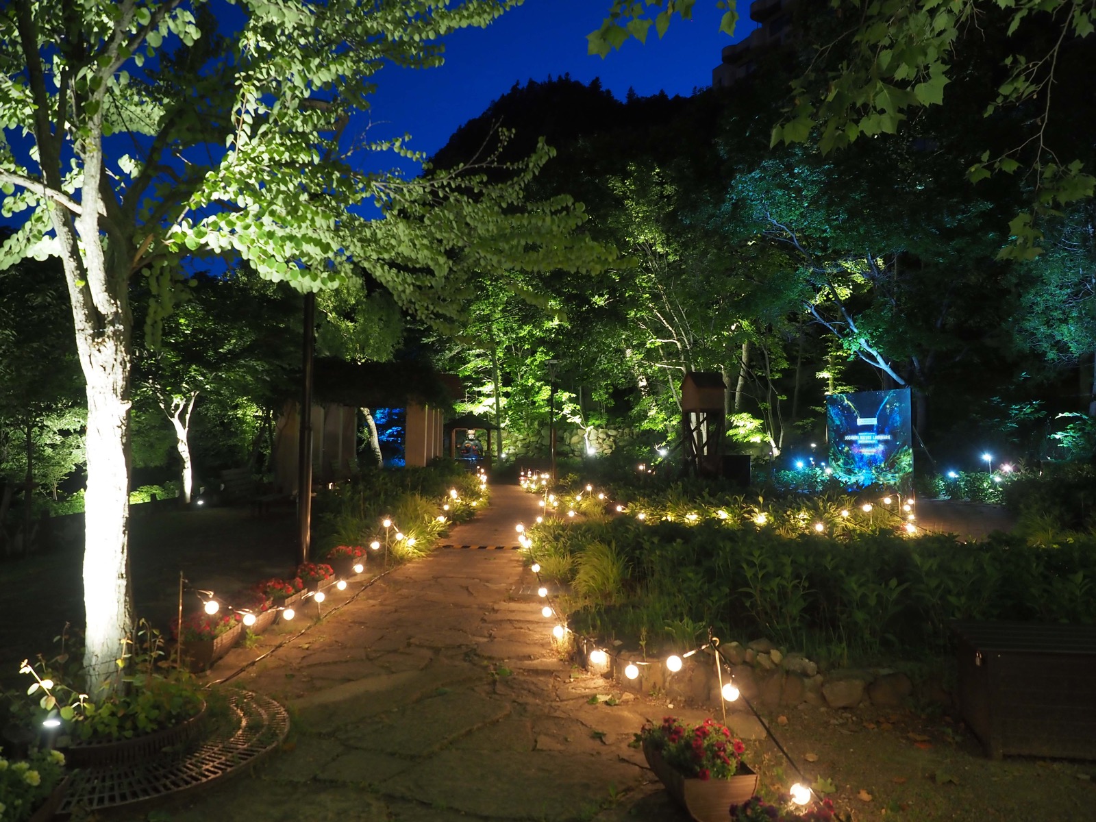 JOZANKEI NATURE LUMINARIE 2023 / 北海道イベント情報 | MouLa